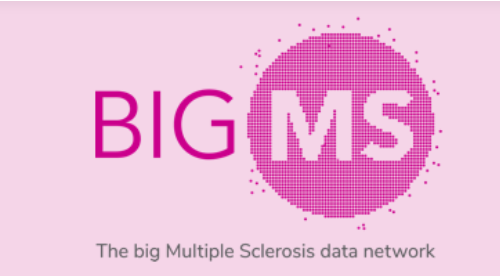 The BigMSData Network